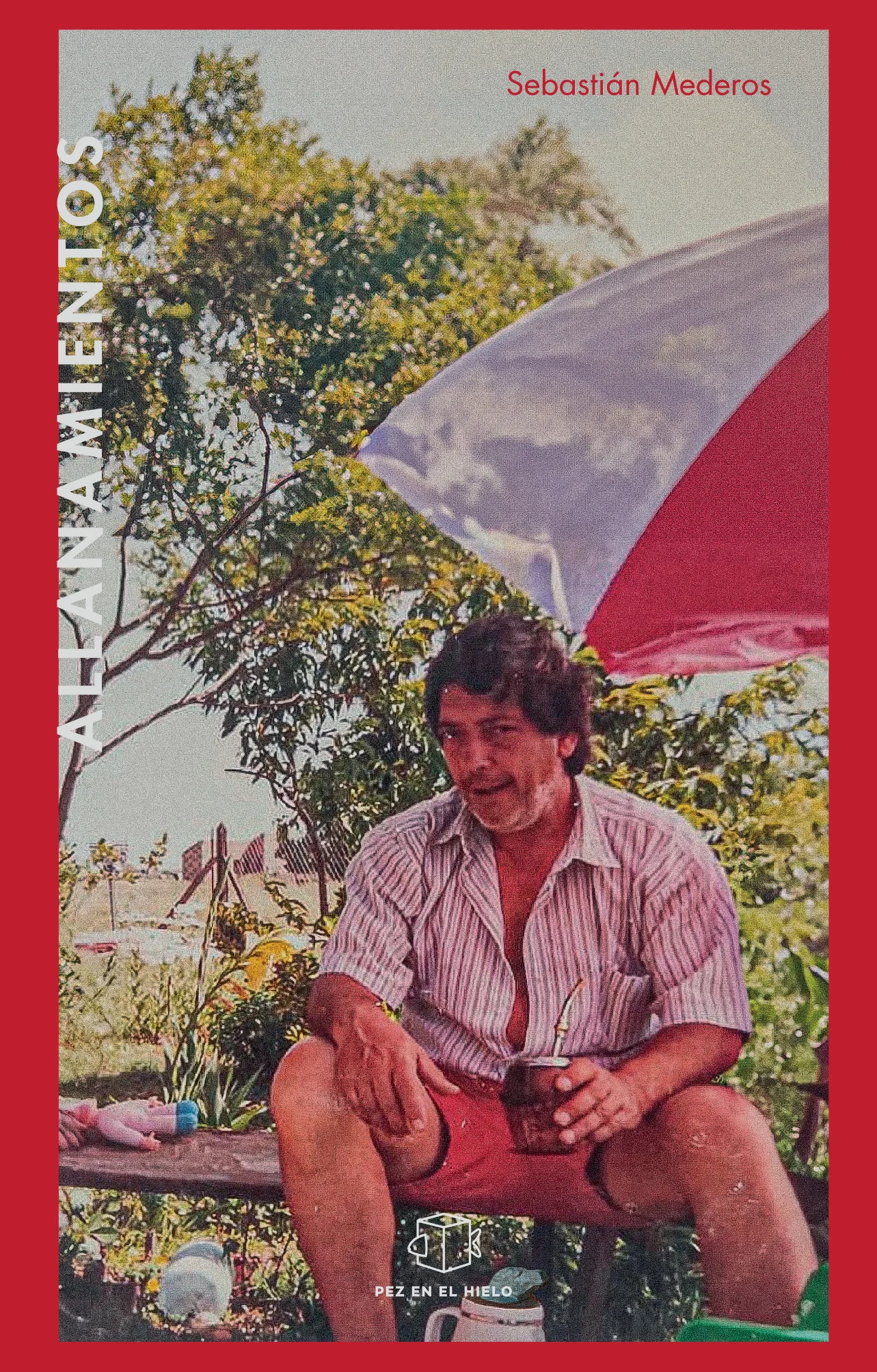 Portada de Allanamientos